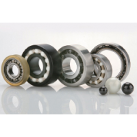 Hybrid Bearing